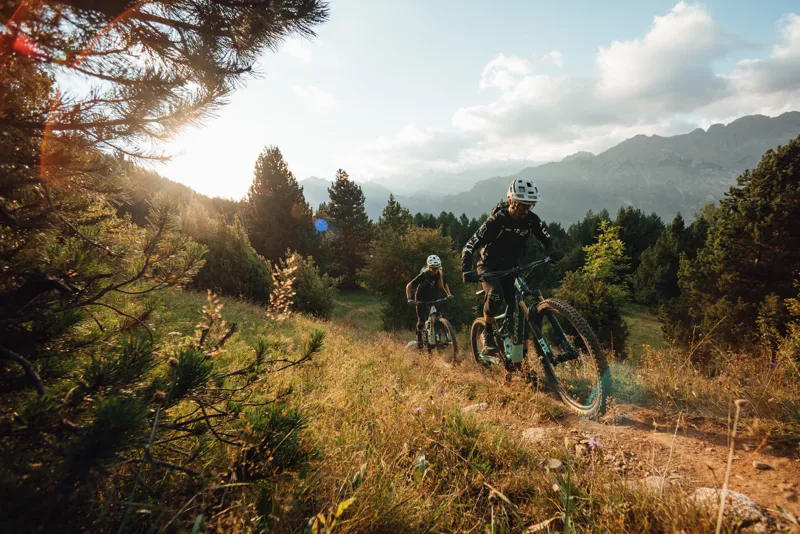 Orbea Rise M-LTD 29er Mountain Bike 2022 Sap White/Green Fog-5